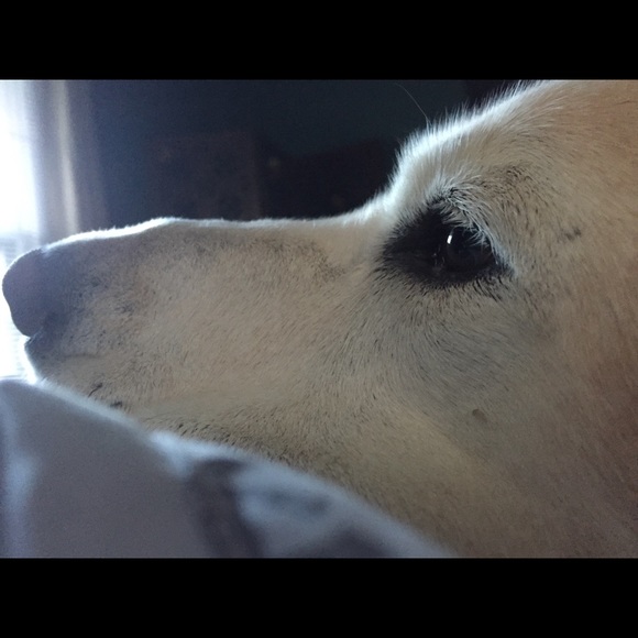 Meet your Posher, Paige - Picture 2 of 4